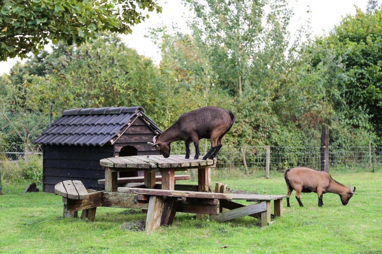 De Rolders Bed & Breakfast Wapenveld ภายนอก รูปภาพ